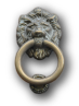 Image lion